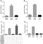 DYKDDDDK Tag Antibody in ELISA (ELISA)