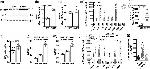 FABP7 Antibody in ChIP Assay (ChIP)