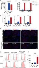 CD56 (NCAM) Antibody in Flow Cytometry (Flow)