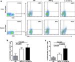 CD3 Antibody in Flow Cytometry (Flow)