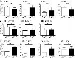 CD140a (PDGFRA) Antibody in Flow Cytometry (Flow)