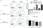 CD3 Antibody in Flow Cytometry (Flow)