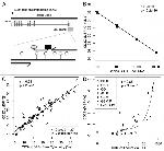 CD3 Antibody in Flow Cytometry (Flow)