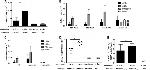 CD3 Antibody in Flow Cytometry (Flow)