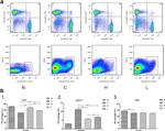 CD8a Antibody in Flow Cytometry (Flow)