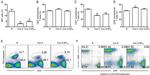 CD8a Antibody in Flow Cytometry (Flow)