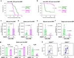 CD11b Antibody in Flow Cytometry (Flow)