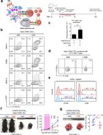 CD8a Antibody in Flow Cytometry (Flow)