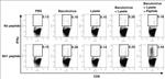 CD8a Antibody in Flow Cytometry (Flow)