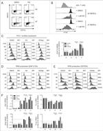 CD8a Antibody in Flow Cytometry (Flow)