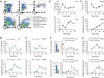 CD11b Antibody in Flow Cytometry (Flow)