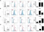 CD11c Antibody in Flow Cytometry (Flow)