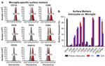 CD68 Antibody in Flow Cytometry (Flow)