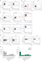 CD16 Antibody in Flow Cytometry (Flow)