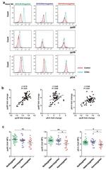 CD19 Antibody in Flow Cytometry (Flow)