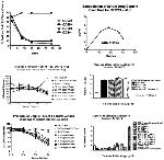 CD20 Antibody in Flow Cytometry (Flow)