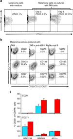 CD20 Antibody in Flow Cytometry (Flow)