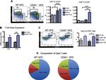 FOXP3 Antibody in Flow Cytometry (Flow)