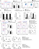 IFN gamma Antibody in Flow Cytometry (Flow)