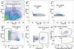 CD34 Antibody in Flow Cytometry (Flow)