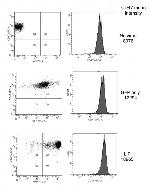 CD47 Antibody in Flow Cytometry (Flow)