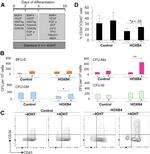 CD34 Antibody in Flow Cytometry (Flow)