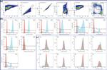 CD40 Antibody in Flow Cytometry (Flow)