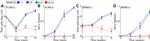 CD117 (c-Kit) Antibody in Flow Cytometry (Flow)