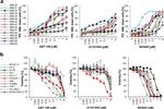 CD45 Antibody in Flow Cytometry (Flow)