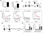 CD48 Antibody in Flow Cytometry (Flow)