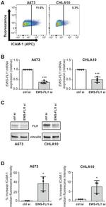 CD54 (ICAM-1) Antibody in Flow Cytometry (Flow)