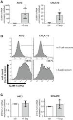 CD54 (ICAM-1) Antibody in Flow Cytometry (Flow)