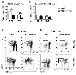 CD62L (L-Selectin) Antibody in Flow Cytometry (Flow)