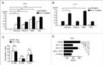 IL-12/IL-23 p40 Antibody in Neutralization (Neu)