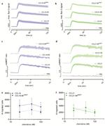 CD197 (CCR7) Antibody in Flow Cytometry (Flow)