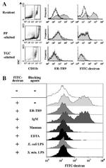 CD209b (SIGN-R1) Antibody in Flow Cytometry (Flow)