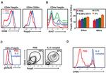 FOXP3 Antibody in Flow Cytometry (Flow)