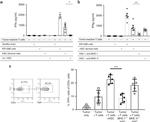 MHC Class II (I-A/I-E) Antibody in Flow Cytometry (Flow)