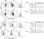 EGR2 Antibody in Flow Cytometry (Flow)