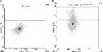 IL-17A Antibody in Flow Cytometry (Flow)