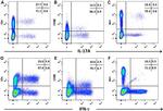 IL-17A Antibody in Flow Cytometry (Flow)