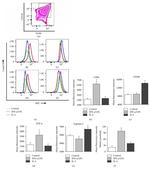 Arginase 1 Antibody