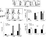 TIGIT Antibody in Flow Cytometry (Flow)