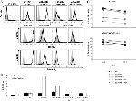 TIGIT Antibody in Flow Cytometry (Flow)