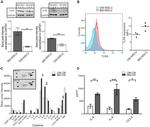 CD284 (TLR4) Antibody in Flow Cytometry (Flow)