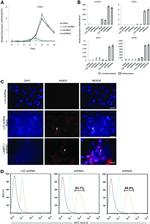 HLA-G Antibody in Flow Cytometry (Flow)