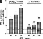 Rat IgG2b kappa Isotype Control in Inhibition Assays (IA)