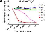 Human IgG Fc gamma Secondary Antibody in ELISA (ELISA)