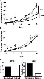 CD3 Antibody in Flow Cytometry (Flow)