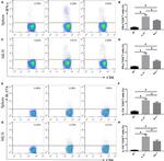 CD4 Antibody in Flow Cytometry (Flow)